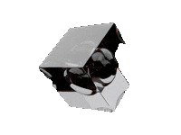shape gif