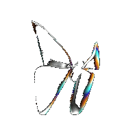 Animated butterfly shape